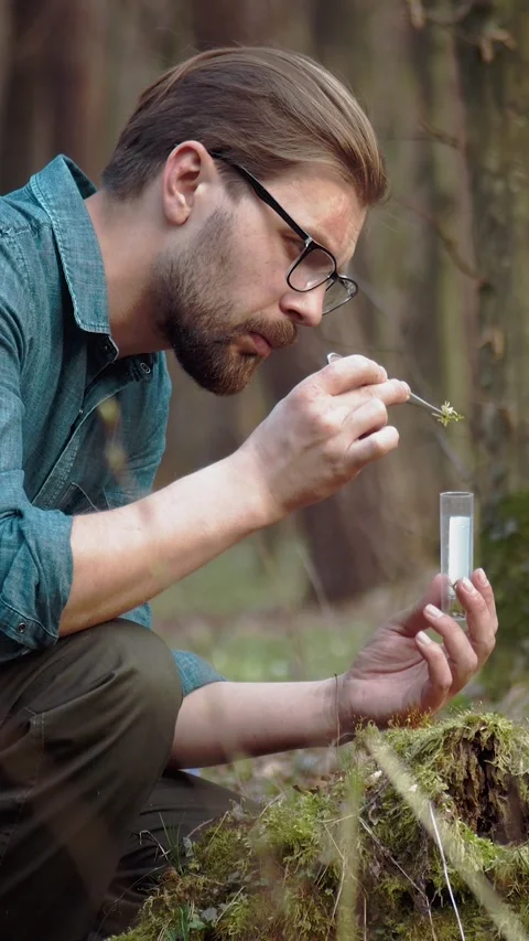 Botanist Examines Trees Stock Footage 322794071