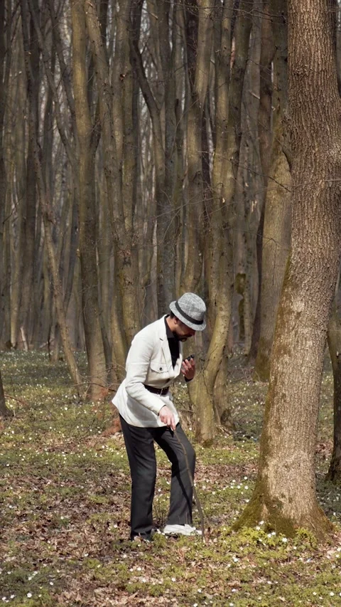 Botanist-led Forest Tour Stock Footage 322793645