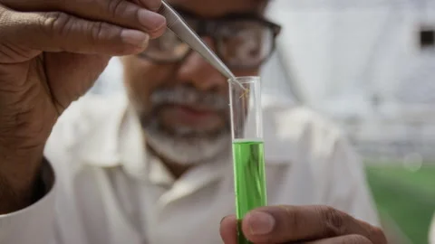 Botanist Putting Plant Sample into Test Tube with Green Liquid Stock Footage 281674869