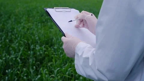 Botanist scientist analyzing plant crop making notes in a journal. Woman gardene 스톡 동영상 241801272