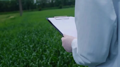 Botanist scientist analyzing plant crop making notes in a journal. Woman gardene Vídeo Stock 241801292