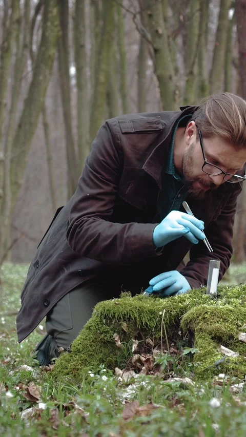 Botanist Studies Forest Plants Stock Footage 322794158