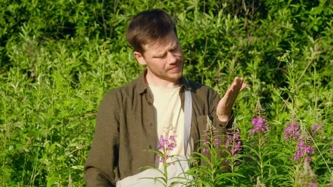 Botanist suffering mosquito bites during fieldwork Stock Footage 313642886