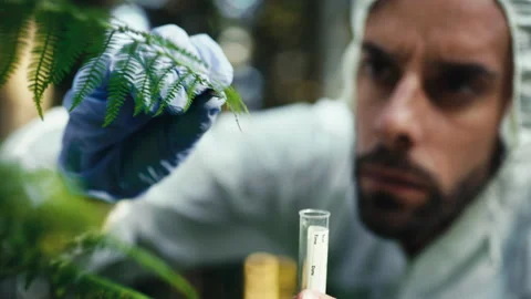 Botanist takes a plant sample for analysis in the mountains Stock Footage 201291064