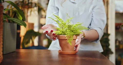 Botanist taking care of plant while. A pretty red-haired shopkeeper or worker Vídeos de archivo 247842509