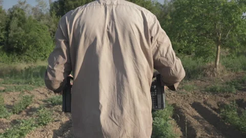 Botanist transporting marijuana Stock Footage 315702997