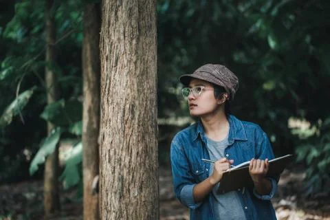 Botanists are looking at the bark of trees to make notes for researches on th Stock Photos
