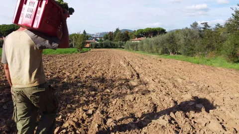 Botanists working in field seen from drone Stock Footage 316903846