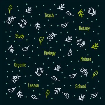 Botany background for school. Teaching Botany and Biology to children. Poster of Stock Illustration