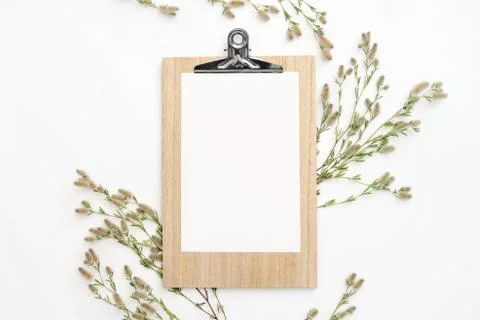 Botany background with a space for a text Stock Photos