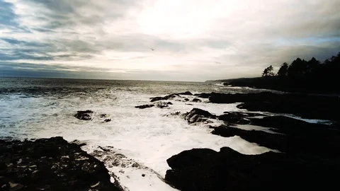 Botany bay in cloudy winter day, Botanical Beach,Port Renfrew BC Canada. 스톡 동영상 88162190