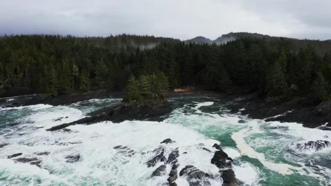 Botany Beach Drone Flyover Stock Footage 171887663