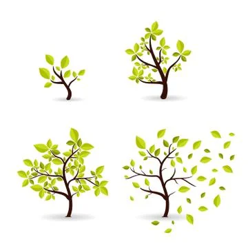 Botany concept cyclic growth of the tree. Environmental template development Stock Illustration