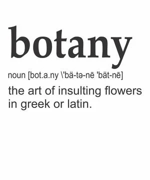 Botany Definition Stock Illustration