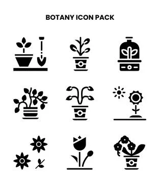 Botany Glyph Icons Pack Stock Illustration