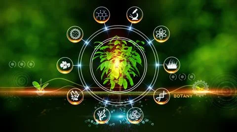 Botany Icon Concept Illustrazione stock