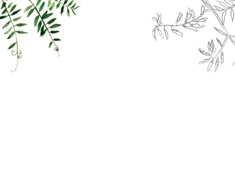 Botany postcard template Stock Illustration