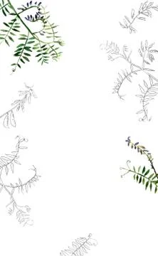 Botany postcard template Stock Illustration