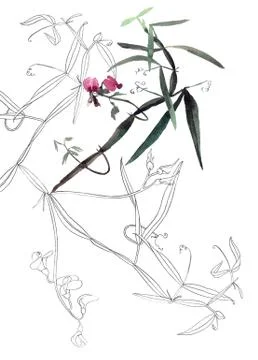 Botany postcard template Stock Illustration