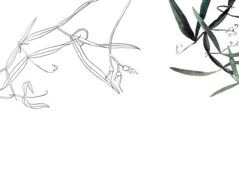 Botany postcard template Stock Illustration