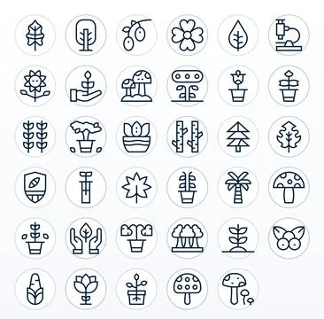 Botany Premium Vector Bundle with 35 Retina Ready Editable Regular Line Icons 스톡 일러스트