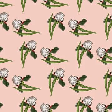Botany seamless nature pattern with random green iris flowers ornament. Pink  Illustrazione stock