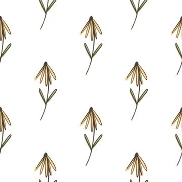 Botany seamless pattern with brown outline colored flower shapes. White backg Stock Illustration