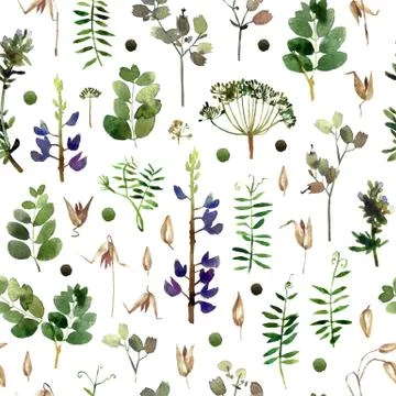 Botany seamless pattern Stock Illustration