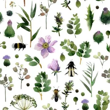 Botany seamless pattern Stock Illustration