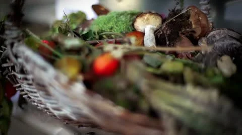 Botany Still Life Video stock 8977016