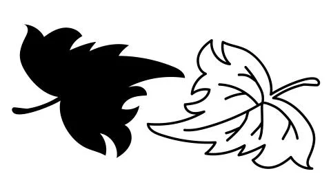 Botany. Vector drawing of a big leaf of a tree. Black outline and line. Element Stock Illustration