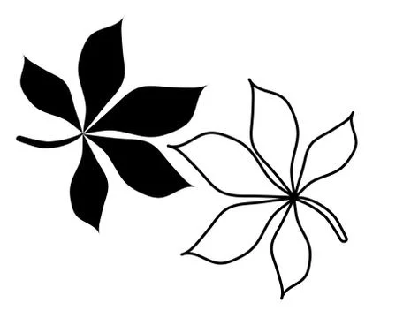Botany. Vector drawing of a leaf of a chestnut tree. Black outline and Stock Illustration
