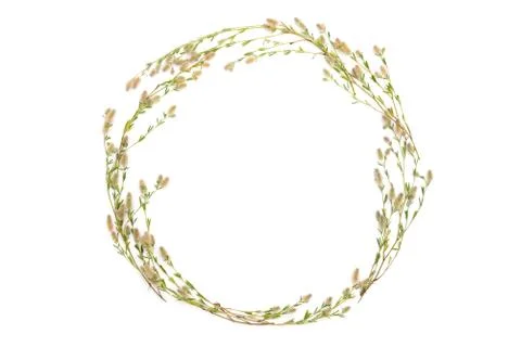 Botany wreath background with a space for a text Stock Photos