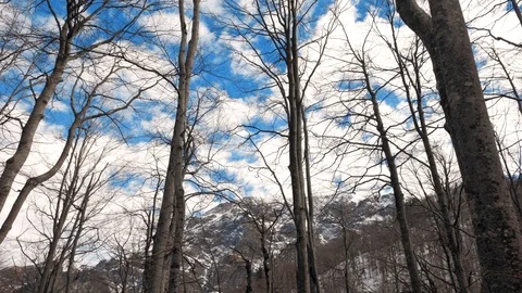 Botev Peak 스톡 동영상 87081121