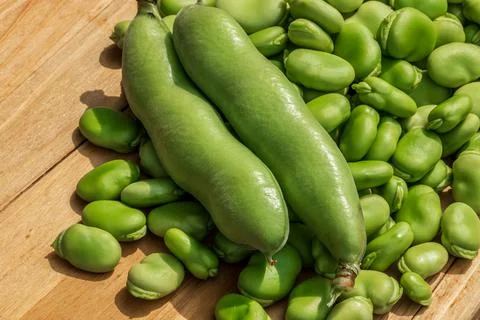 Both broad bean pods and shelled seeds. Stock Photos