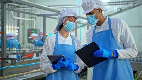 Both of quality control officer inspecting raw fish materials Stock Footage 339046631