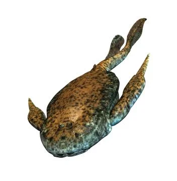 Bothriolepis - Prehistoric Fish 스톡 일러스트
