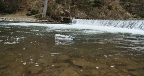 Botle plastic in water Video stock 152721410