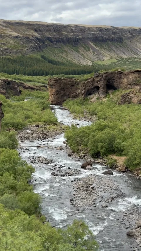 Botnsa river valley with lush green canyon leading to Glymur waterfall, West  Stock Footage 332754313