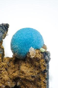 Botryoidal balls of shattuckite Foto stock