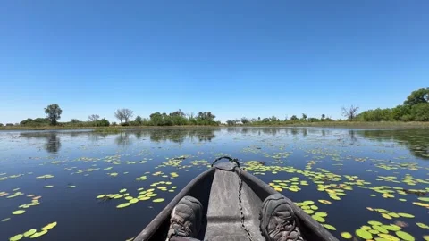 Botswana Canoe over the river Stock Footage 278278962