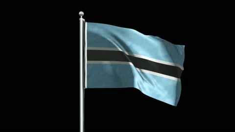 Botswana Flag Big 스톡 동영상 160126407