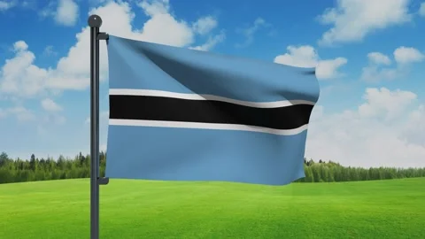 Botswana Flag Stock Footage 151861902