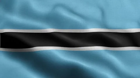 Botswana flag Front Stock Footage 318663096