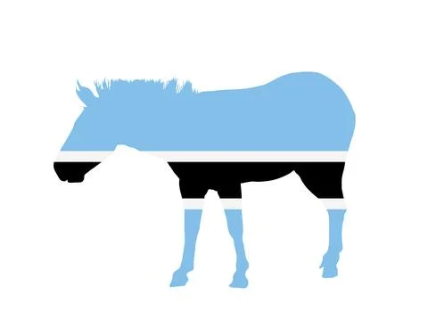 Botswana flag over zebra vector silhouette illustration isolated Stock Illustration