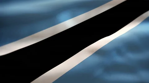 Botswana flag waving Stock Footage 55494651