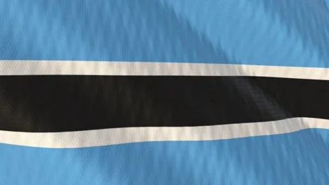 Botswana flag waving white background loop Stock-Footage 342948476