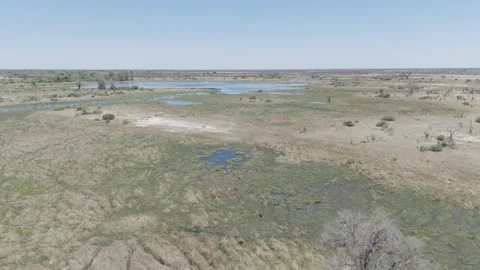 Botswana Open Plains Stock Footage 278276223