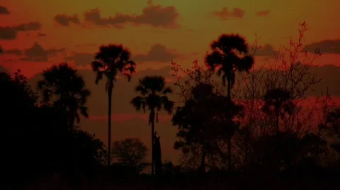 Botswana Red Time Lapse Stock Footage 474279