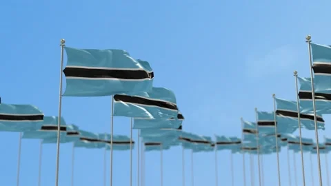Botswana Row Of Flags 3D Animation Stock-Footage 148632331
